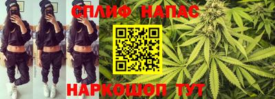сатива Бузулук