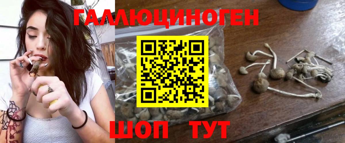 Псилоцибиновые грибы Psilocybine cubensis  Вход с VPN  Щёкино 